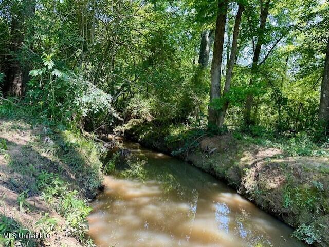 Tbd Northeast Tbd Ne Williams Street Brookhaven, MS 39601 - Photo 8 of 21 pic8