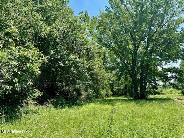 Tbd Northeast Tbd Ne Williams Street Brookhaven, MS 39601 - Photo 9 of 21 pic9