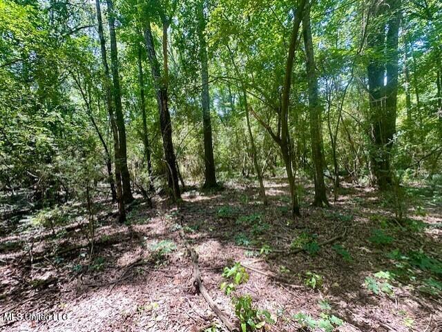Tbd Northeast Tbd Ne Williams Street Brookhaven, MS 39601 - Photo 10 of 21 pic10