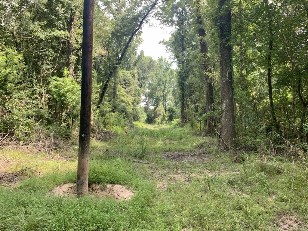 0 Garden City Road Roxie, MS 39661 - Photo 37 of 45 Photo 37