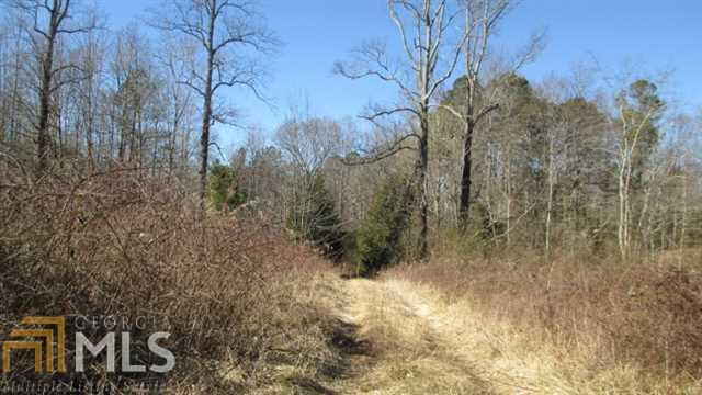 801 Upper Bethany Road Ball Ground, GA 30107 - Photo 1 of 1