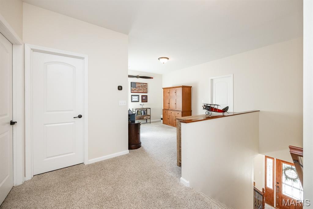 168 Knollhaven Trail O'Fallon, IL 62269 - Photo 21 of 57