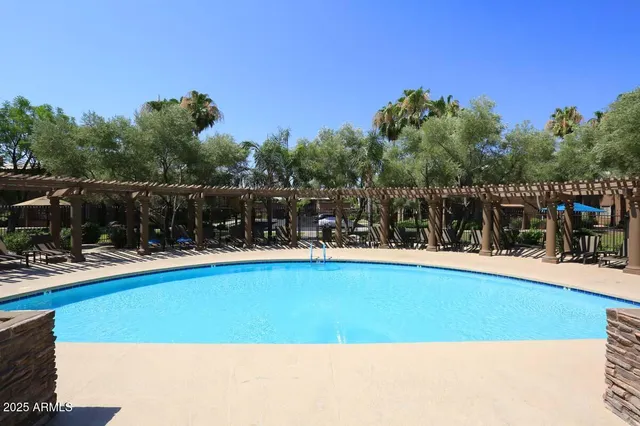 a view of a swimming pool with a lawn chairs and plants
