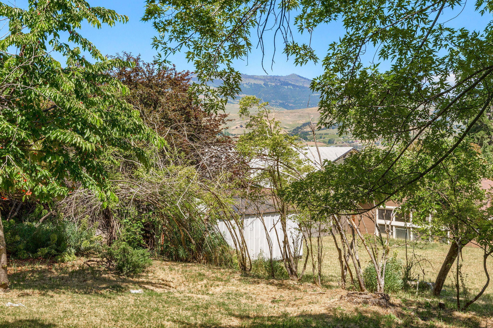 530 Maple Way Ashland, OR 97520 - Photo 28 of 47 m28