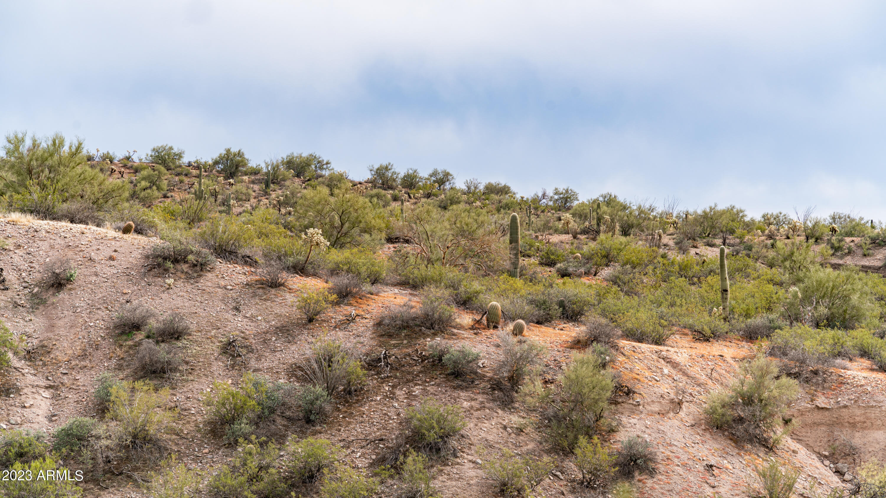 109-xx North Springfield Road Winkelman, AZ 85192 - Photo 22 of 33