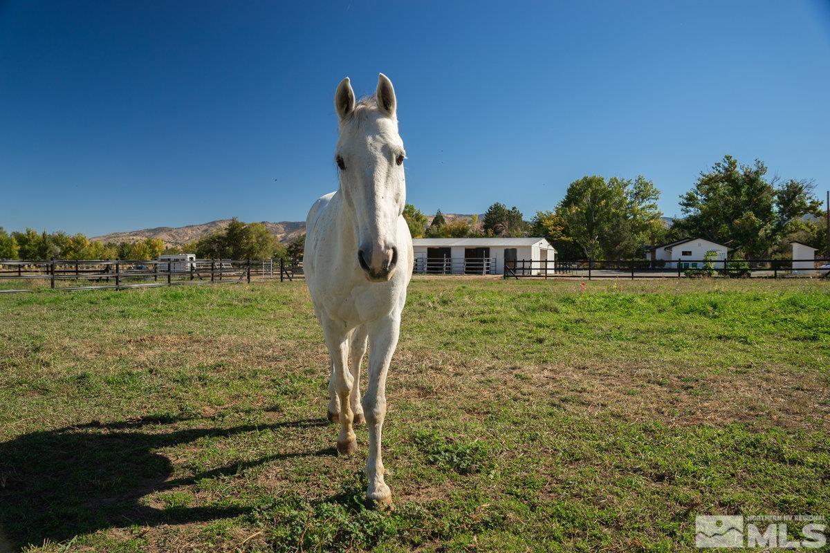 215 Neilson Road Reno, NV 89521 - Photo 30 of 40 a view of a garden