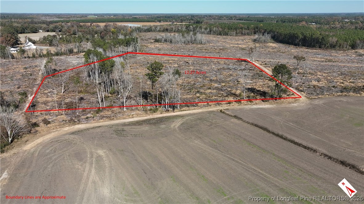 Lot 7 Barnesville Church Road Orrum, NC 28369 - Photo 7 of 10