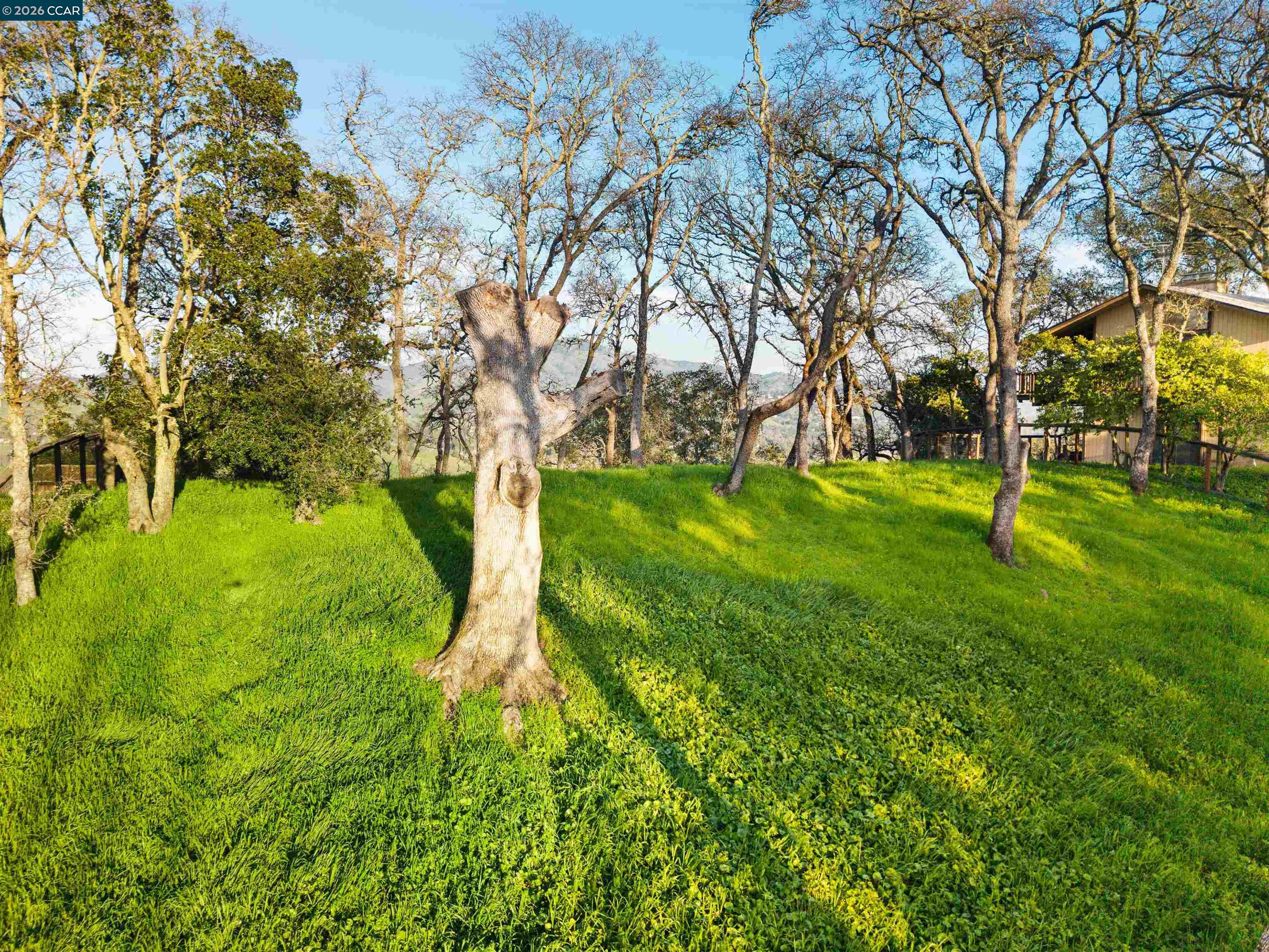 0 Castle Crest Road Alamo, CA 94507 - Photo 4 of 14 a huge green field with lots of trees
