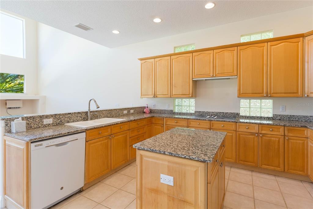 16531 Hutchison Road Odessa, FL 33556 - Photo 14 of 77