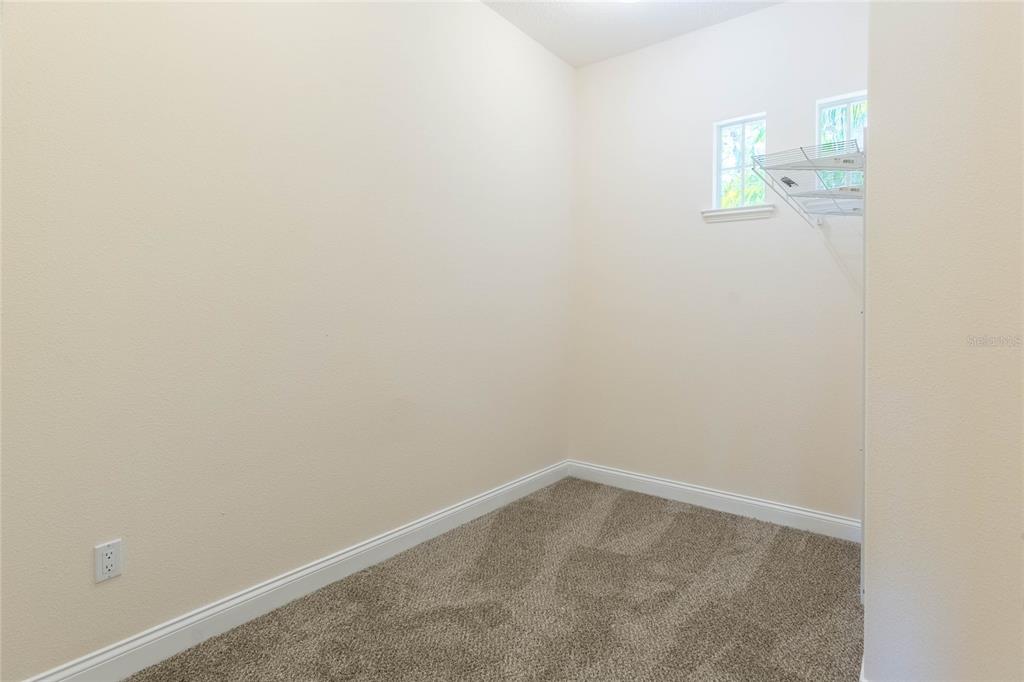 16531 Hutchison Road Odessa, FL 33556 - Photo 29 of 77