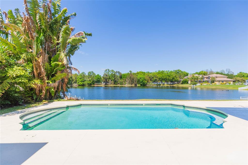 16531 Hutchison Road Odessa, FL 33556 - Photo 55 of 77