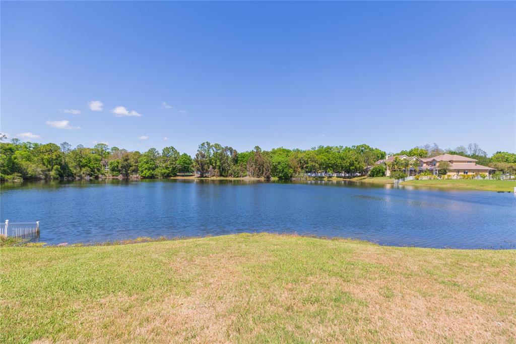 16531 Hutchison Road Odessa, FL 33556 - Photo 57 of 77