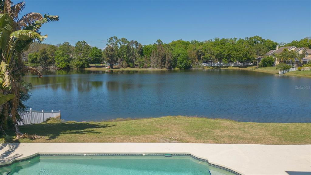 16531 Hutchison Road Odessa, FL 33556 - Photo 64 of 77