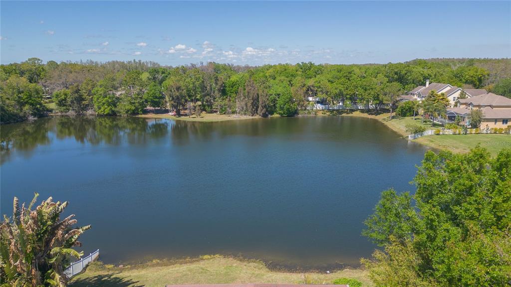 16531 Hutchison Road Odessa, FL 33556 - Photo 65 of 77