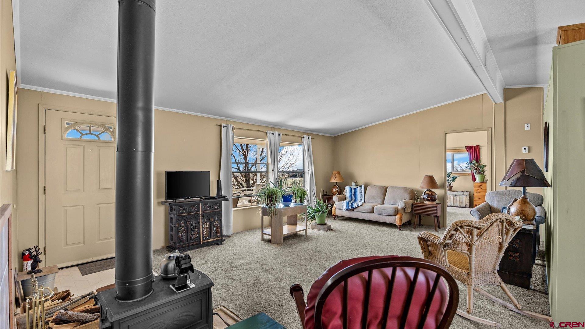 17177 Meadow Drive Cedaredge, CO 81413 - Photo 6 of 30 a living room with furniture a flat screen tv and a fireplace