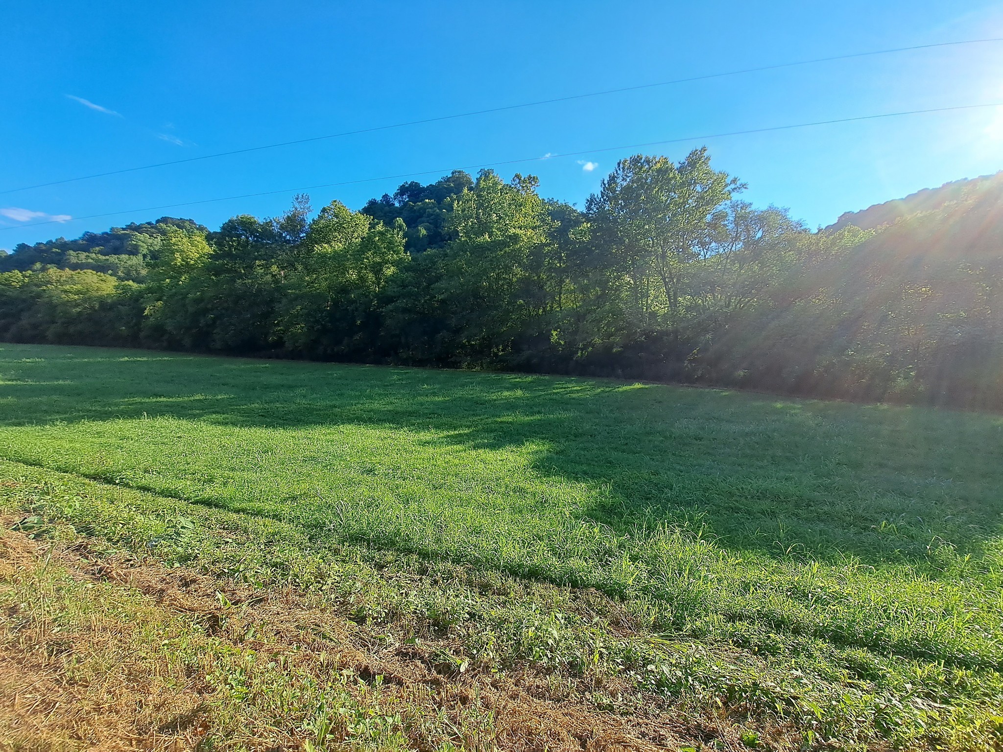 0 Old Bottom Road Dixon Springs, TN 37057 - Photo 2 of 8