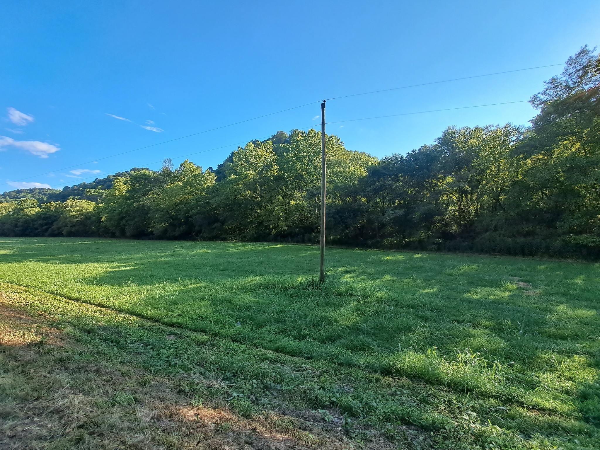 0 Old Bottom Road Dixon Springs, TN 37057 - Photo 3 of 8