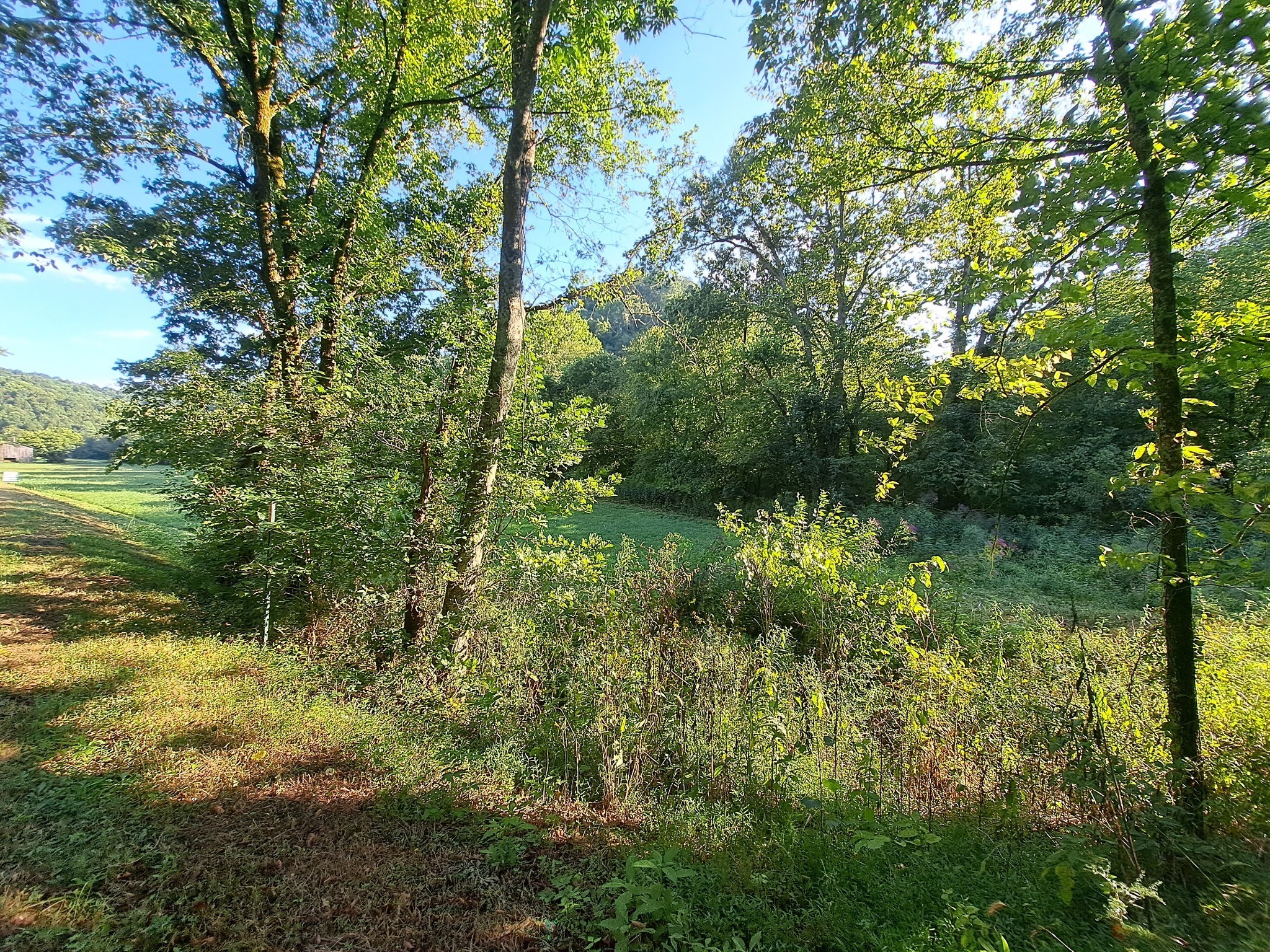 0 Old Bottom Road Dixon Springs, TN 37057 - Photo 6 of 8