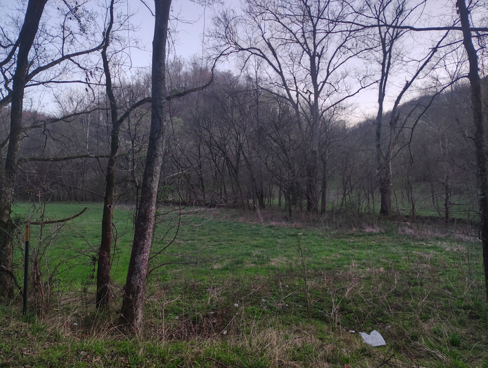 0 Old Bottom Road Dixon Springs, TN 37057 - Photo 7 of 8