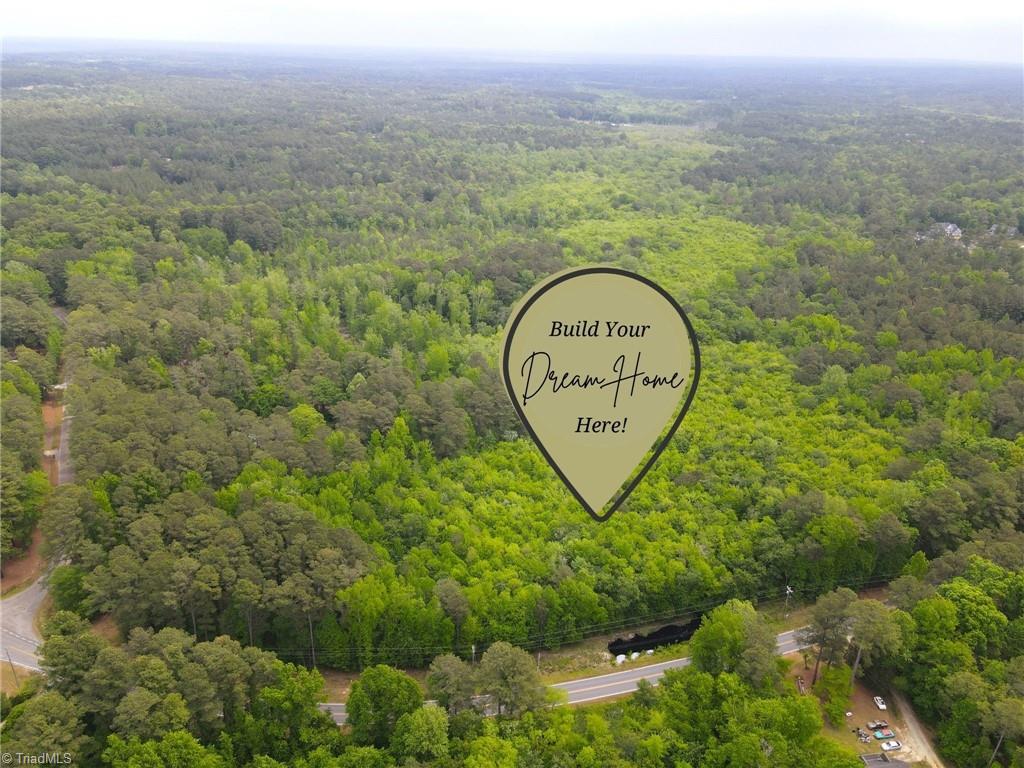 Lot3 Murdocksville Road West End, NC 27376 - Photo 1 of 9