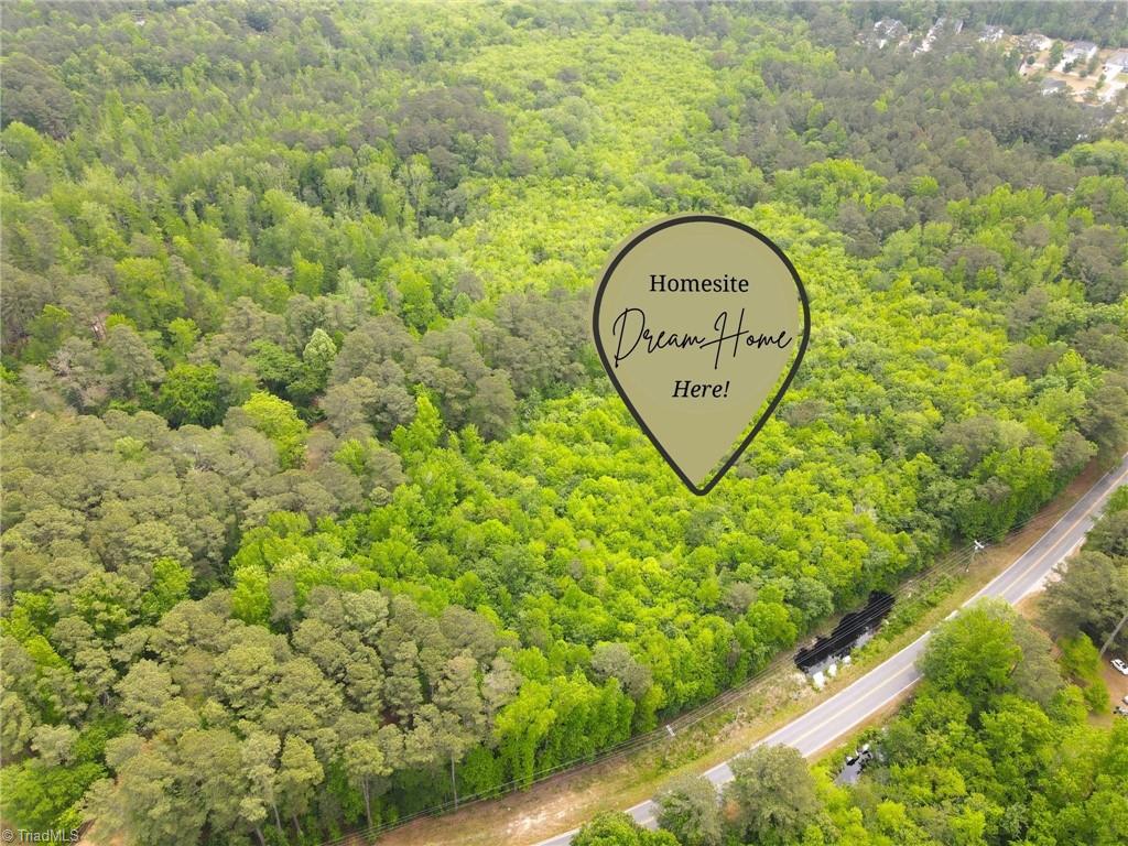 Lot3 Murdocksville Road West End, NC 27376 - Photo 3 of 9