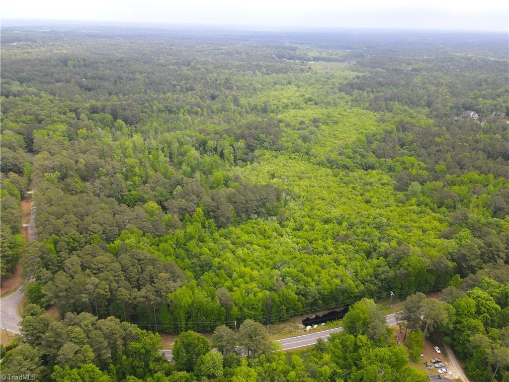 Lot3 Murdocksville Road West End, NC 27376 - Photo 6 of 9