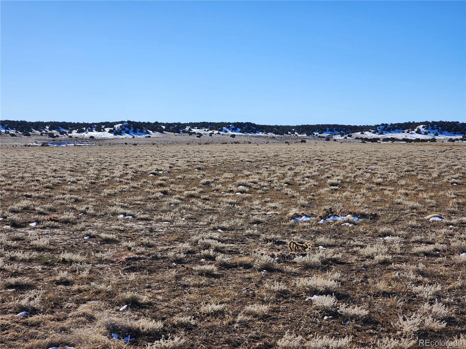 0 County Road 78.0 Model, CO 81059 - Photo 15 of 40