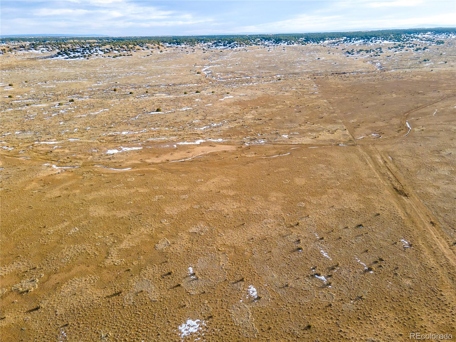 0 County Road 78.0 Model, CO 81059 - Photo 23 of 40