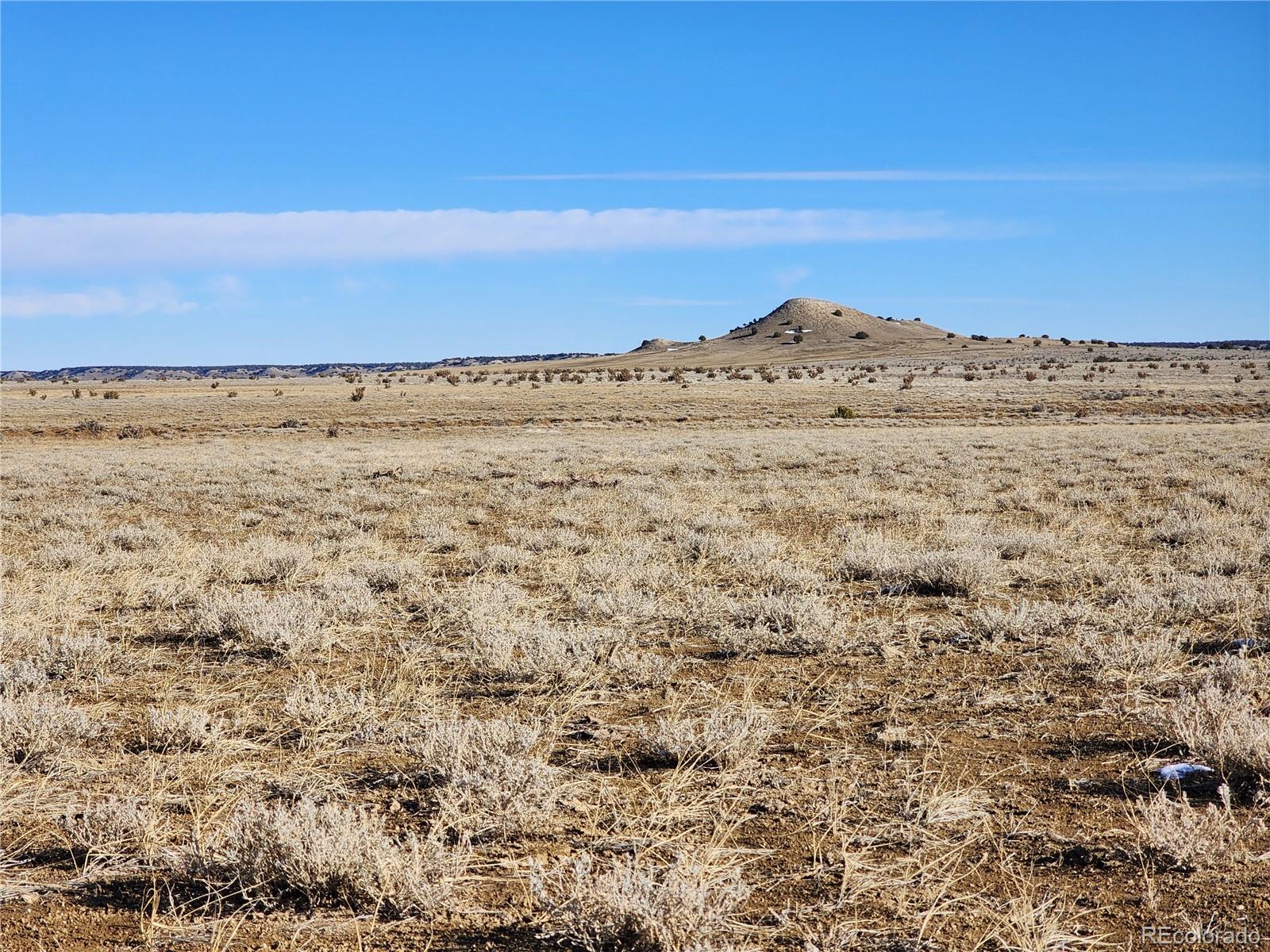 0 County Road 78.0 Model, CO 81059 - Photo 4 of 40