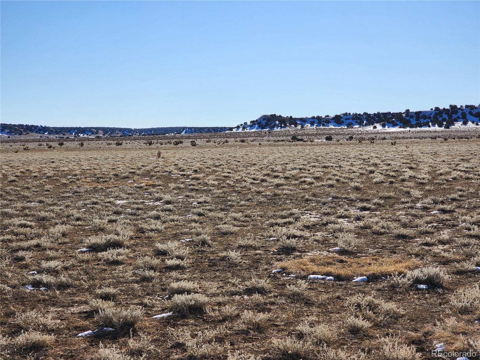 0 County Road 78.0 Model, CO 81059 - Photo 10 of 40