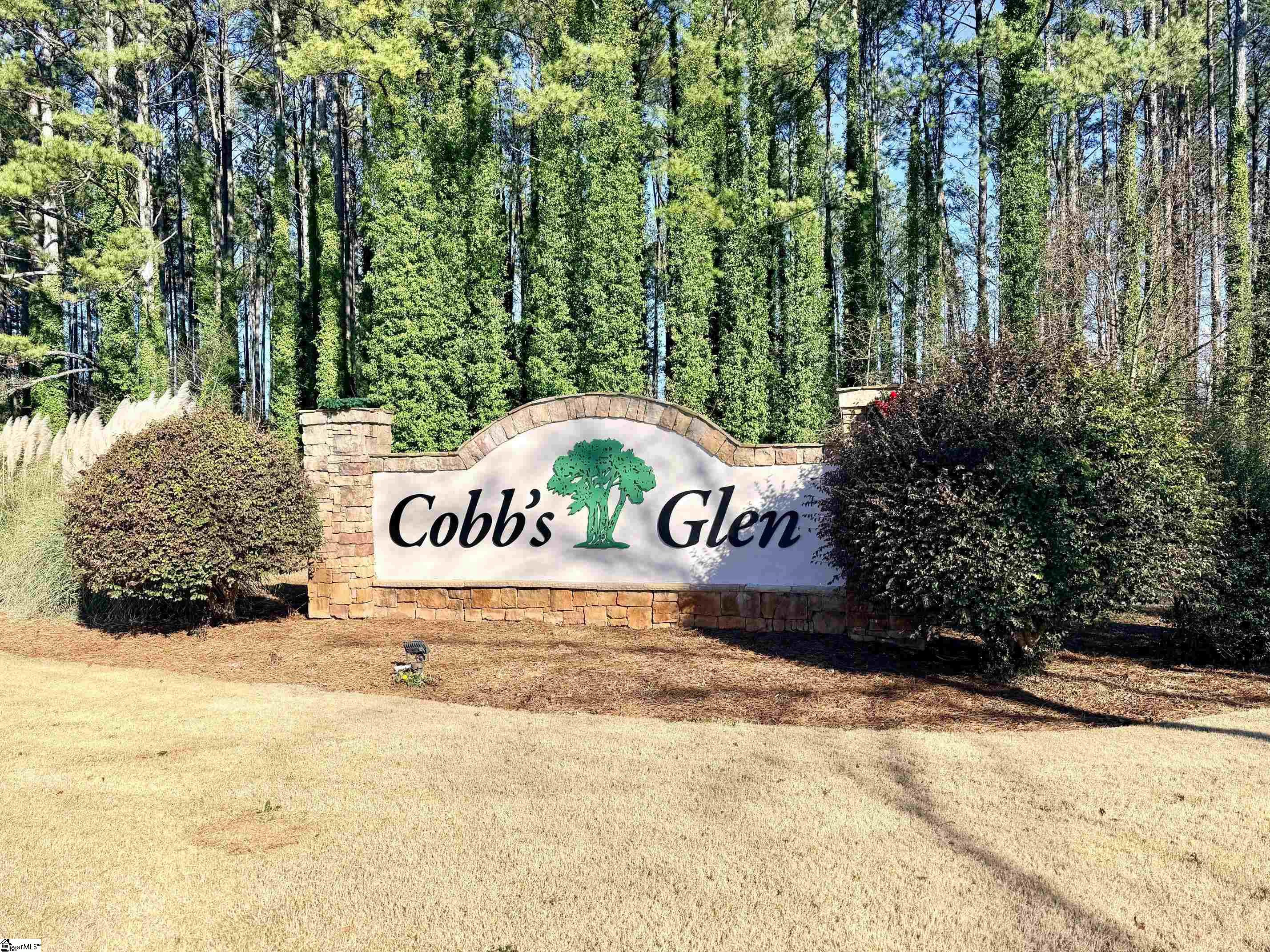 116 Augusta National Anderson, SC 29621 - Photo 43 of 46