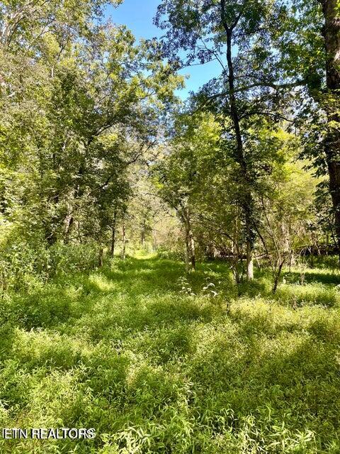 Valley Road Loudon, TN 37774 - Photo 6 of 11 20241009153555397161000000-o