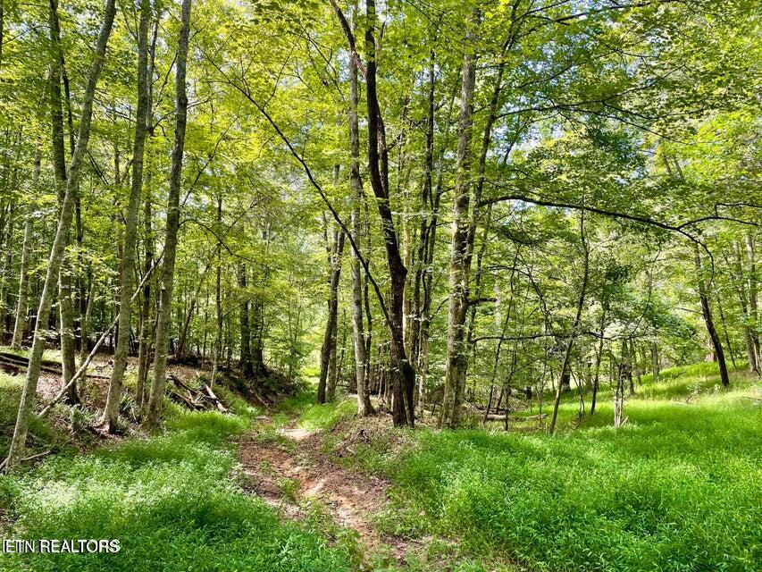 Valley Road Loudon, TN 37774 - Photo 7 of 11 20241009153622426105000000-o