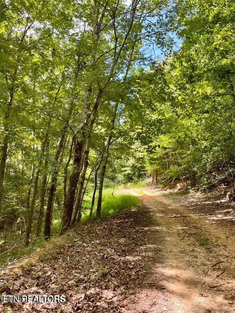 Valley Road Loudon, TN 37774 - Photo 9 of 11 20241009153632273195000000-o