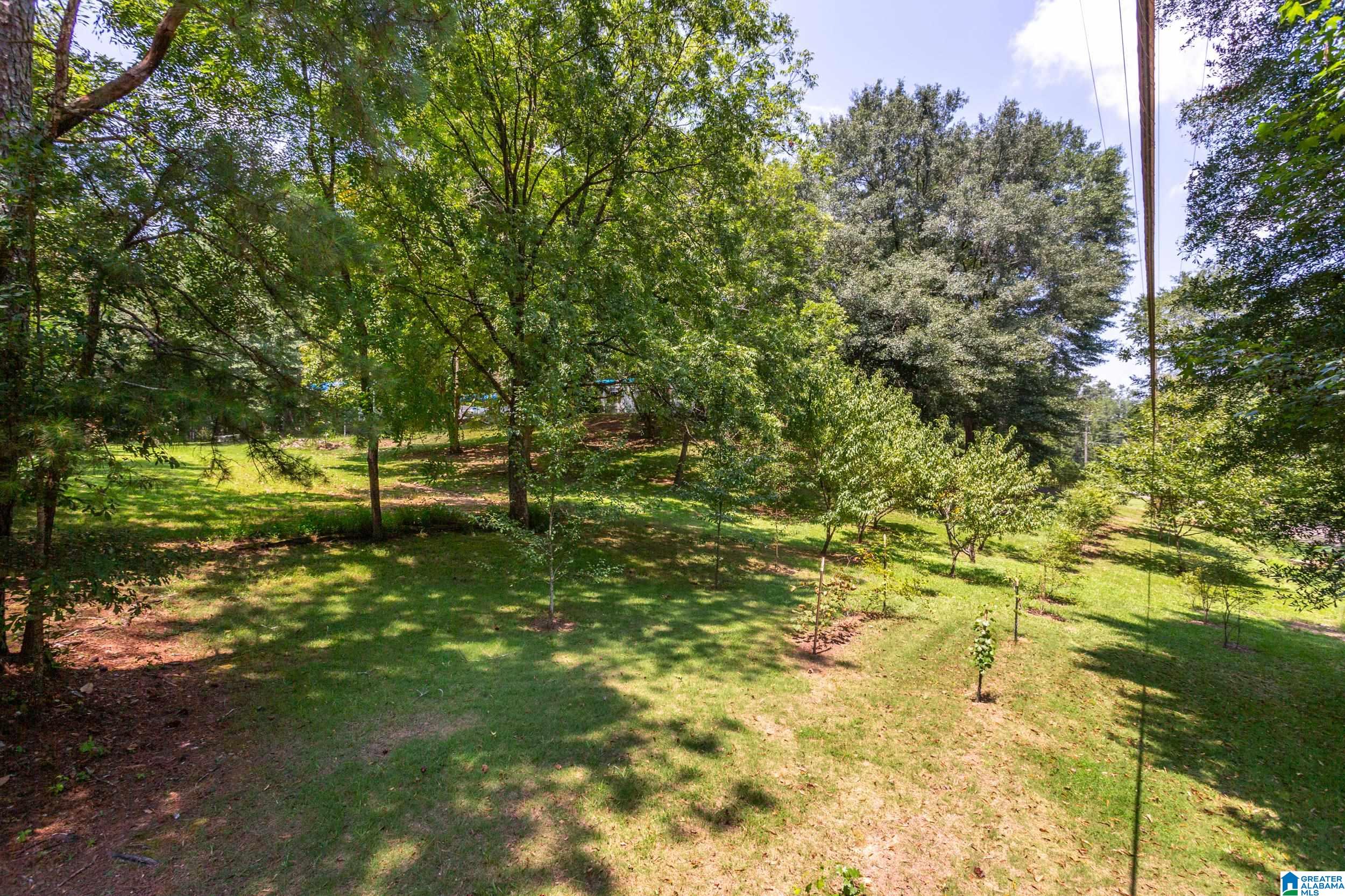 121 Wattsville Drive Ragland, AL 35131 - Photo 27 of 38