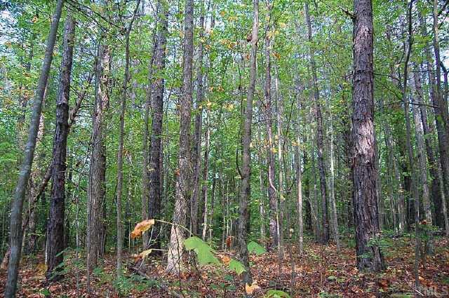 3 Dennys Store Road, Unit 3 Roxboro, NC 27574 - Photo 5 of 8 a backyard of a house with lots of trees and plants