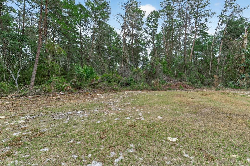 117 Stoddard Road Crescent City, FL 32112 - Photo 62 of 83