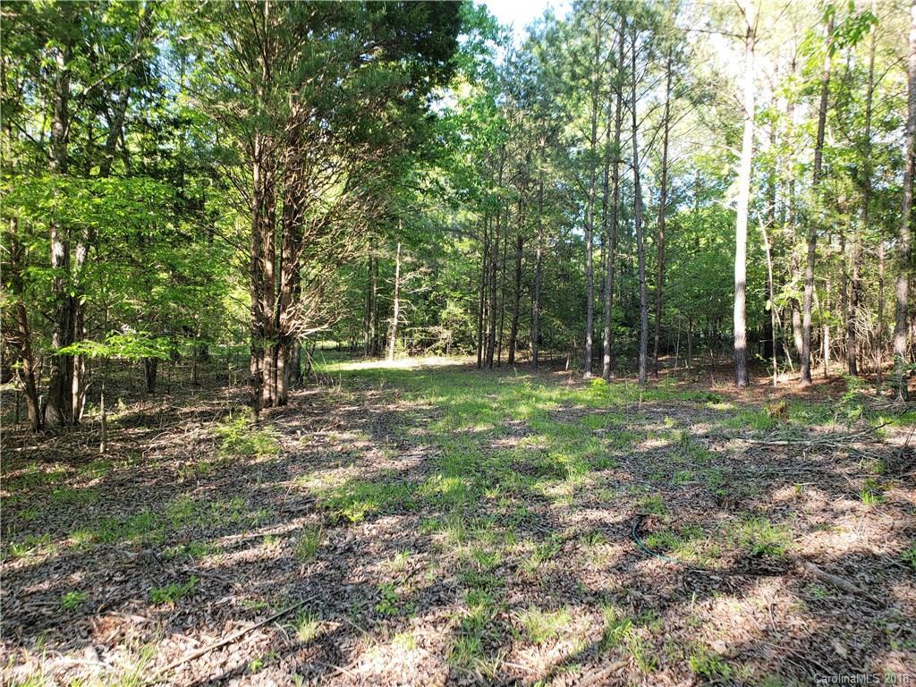 0 Sierra Road York, SC 29745 - Photo 9 of 22