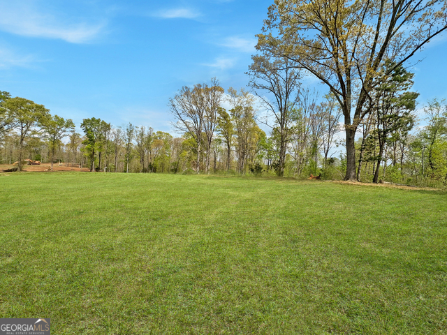 0 Gooseneck Road Eastanollee, GA 30538 - Photo 11 of 14