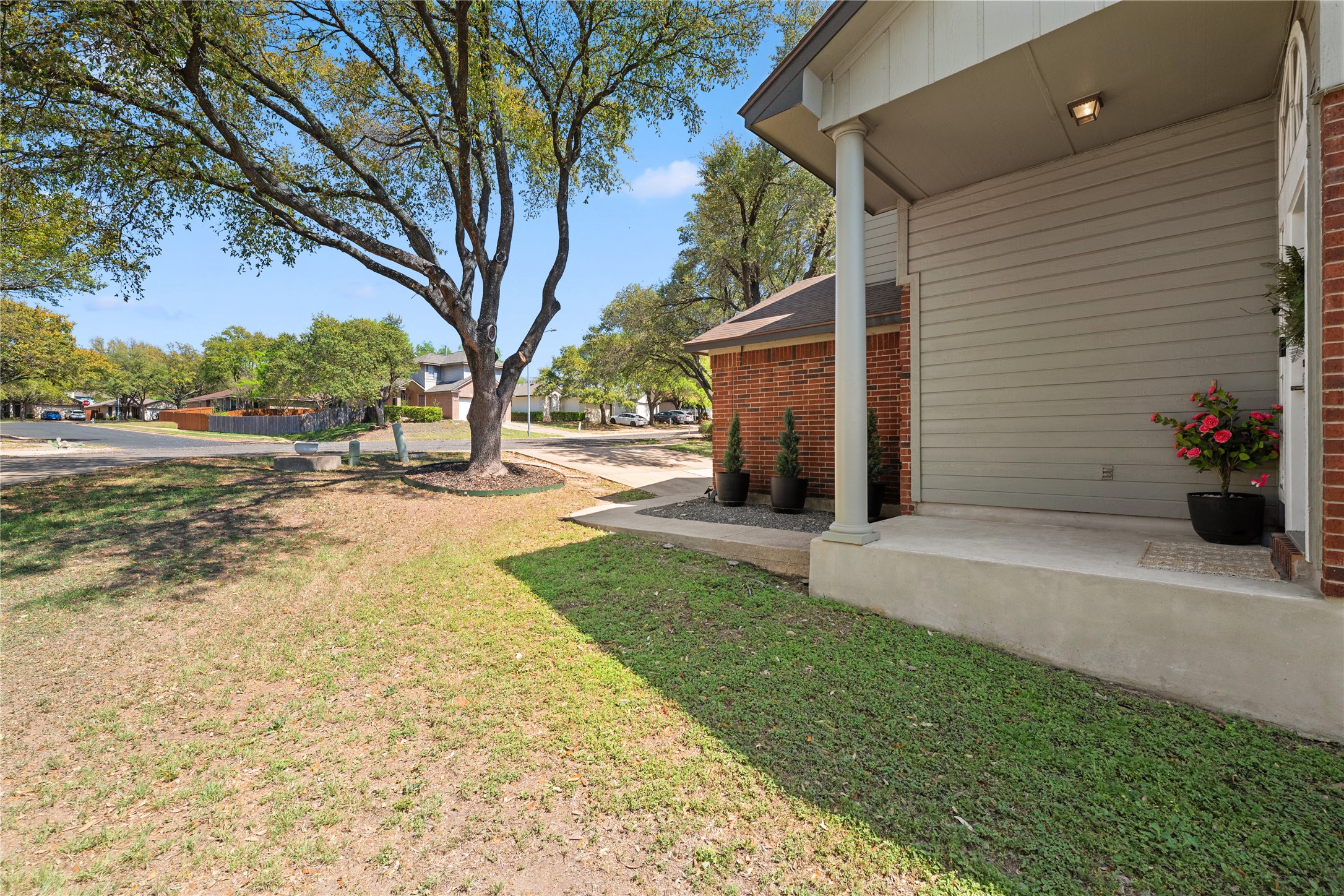 9257 Vigen Circle Austin, TX 78748 - Photo 27 of 33 a view of backyard with large tree