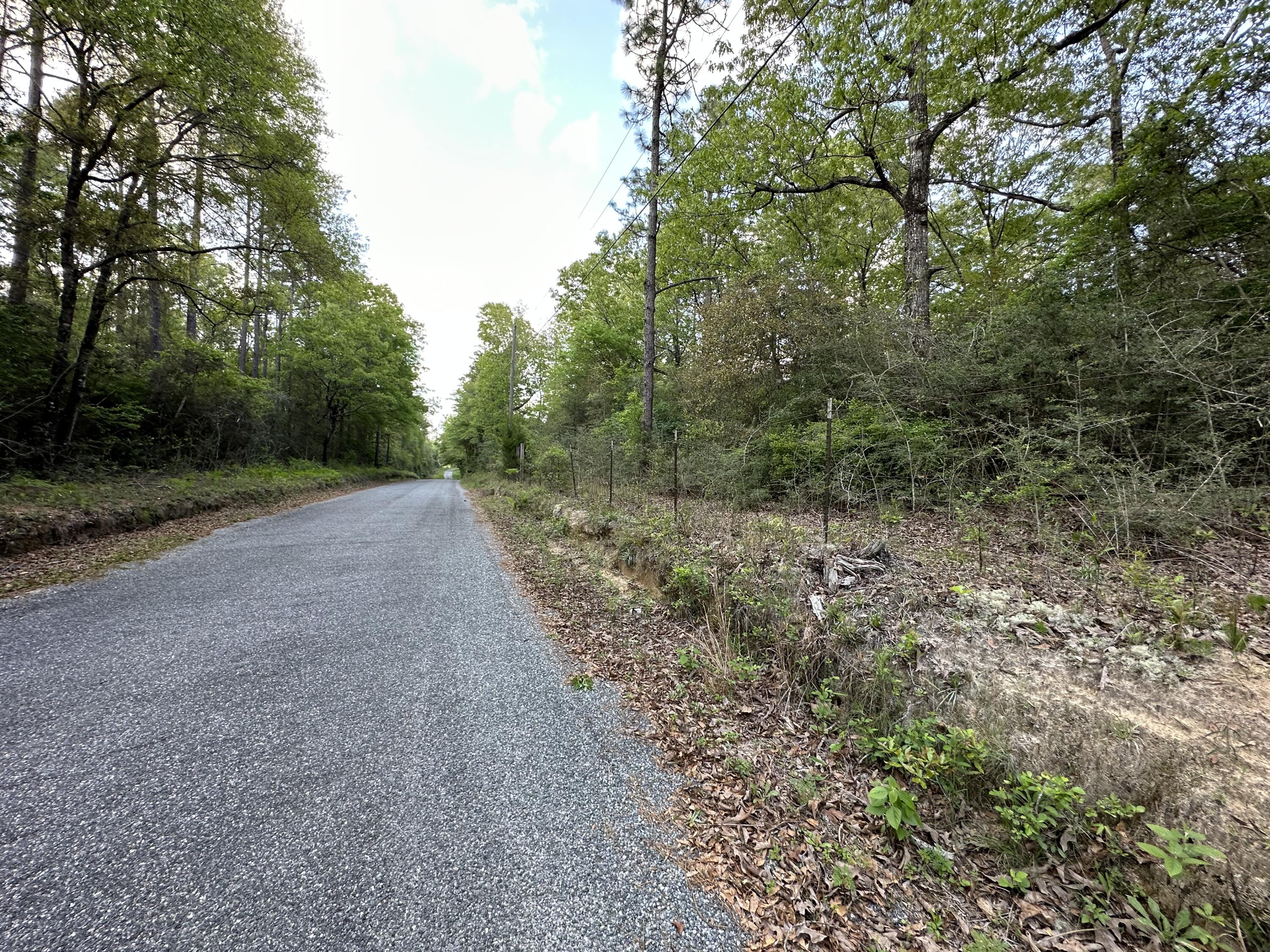 3-ac Adams Road Crestview, FL 32536 - Photo 5 of 5 a view of a yard with trees