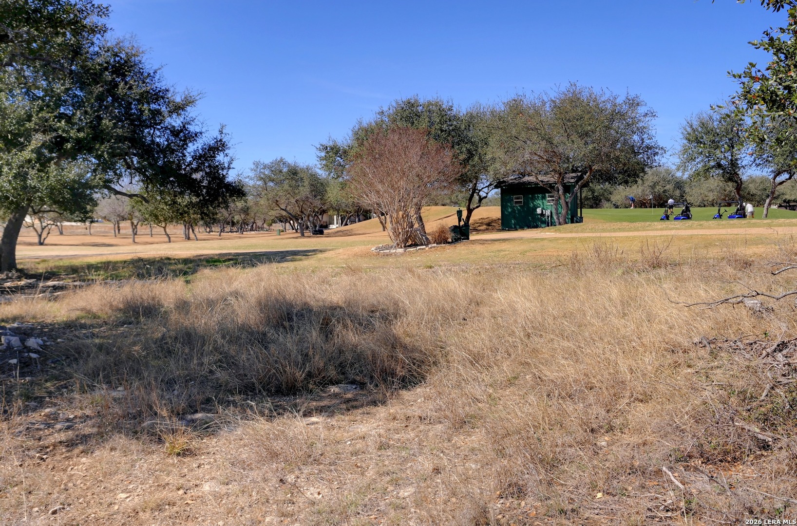 425 George Dolson Blanco, TX 78606 - Photo 24 of 27 a view of road with large trees