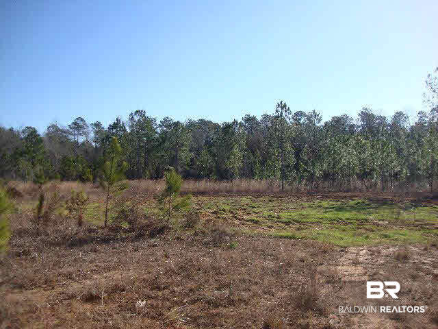 0 Fox Branch Road Loxley, AL 36551 - Photo 14 of 14