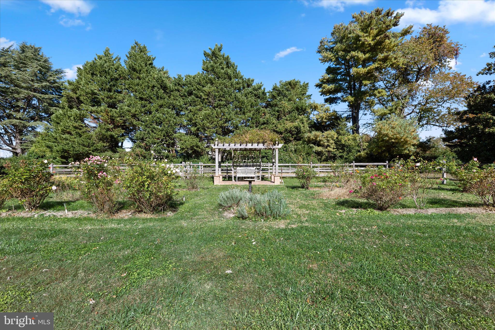 27473 Westpoint Road Easton, MD 21601 - Photo 53 of 58 a view of a large garden with plants and large trees