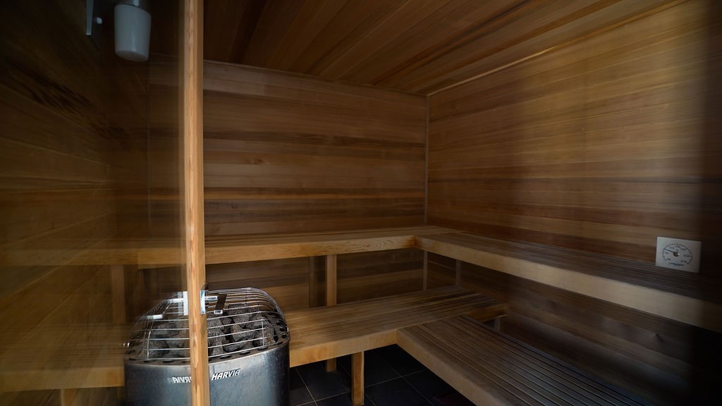 3308 North MacGregor Way Houston, TX 77004 - Photo 43 of 46 Sauna