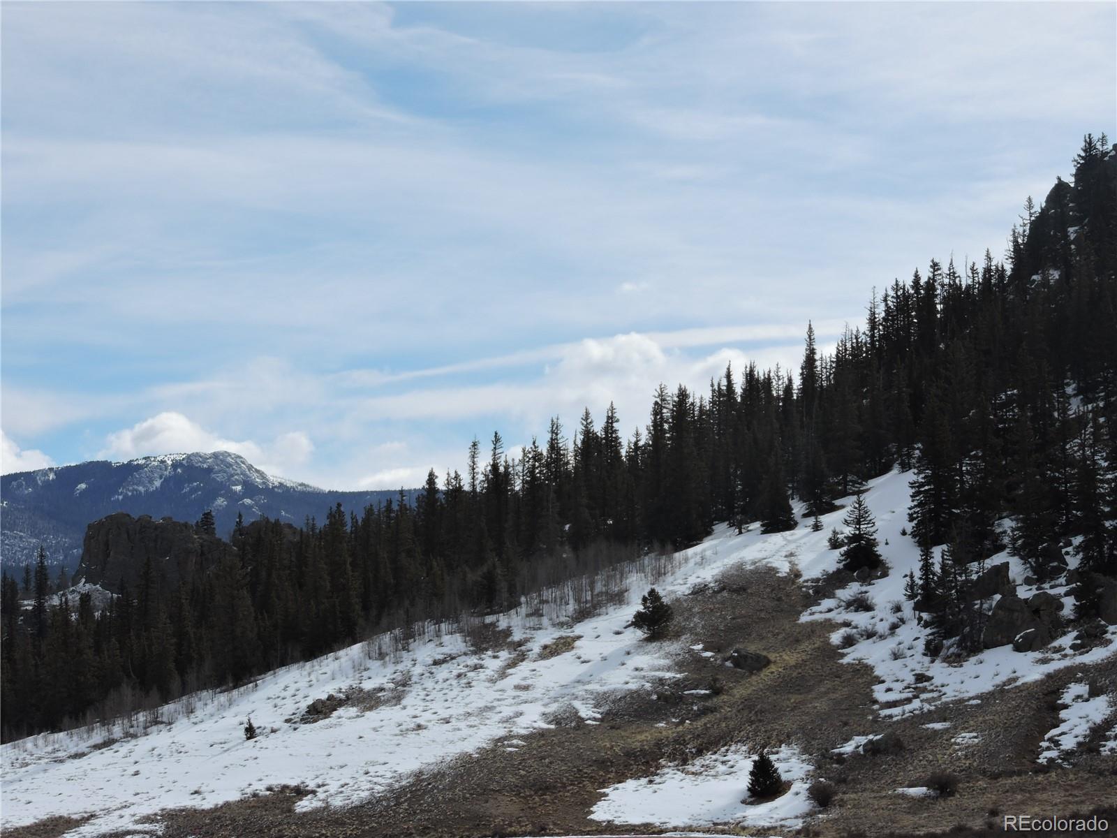 2017 Travois Road Jefferson, CO 80456 - Photo 7 of 14