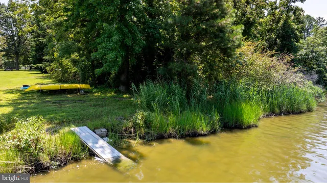 a view of a swimming pool with a garden