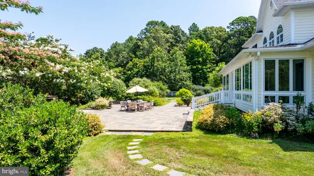 a view of a backyard with plants and a garden