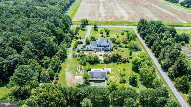 a view of a garden with plants