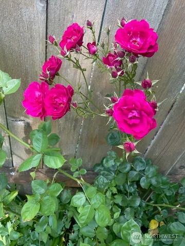 $700,000 | 8859 20th Avenue Southwest, Seattle, WA 98106